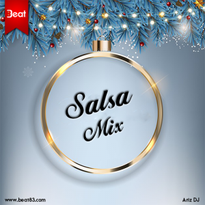 salsa Mix cover art